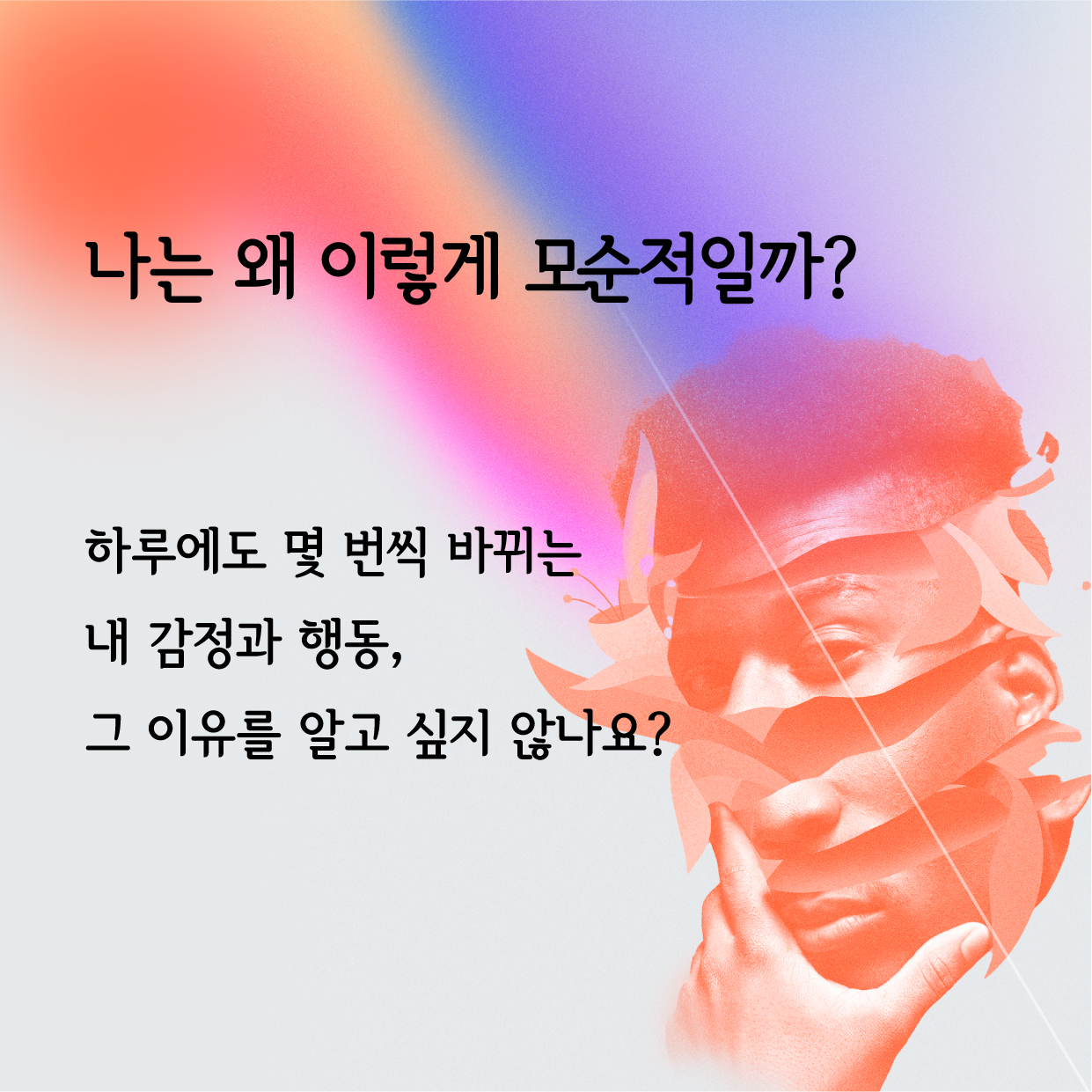 KakaoTalk_20250805_120732077.jpg